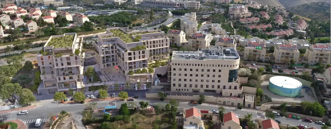 ramilevy_003