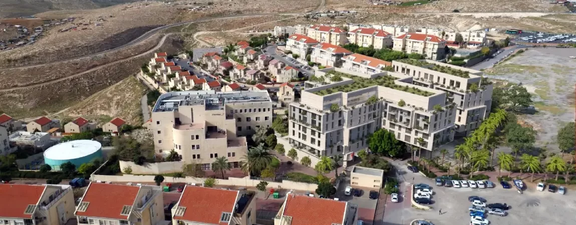 ramilevy_004